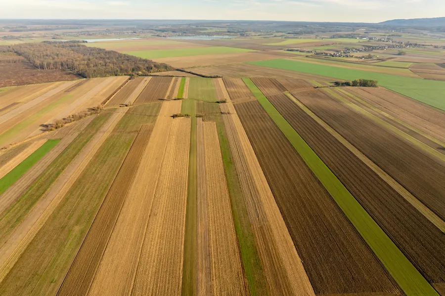 Vista aérea de campos agrícolas en franjas (foto referencial)